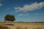 history_03